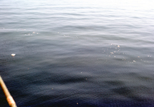 Trash dumped overboard